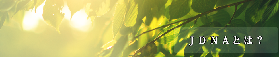 JDNAとは？